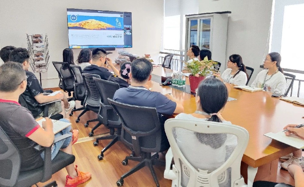 總結成果，?明確方向——微視光電7月績效分析會